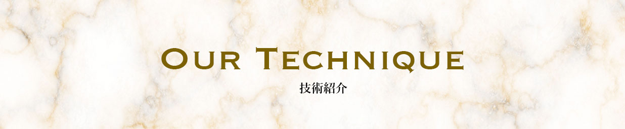 技術紹介 Our technique